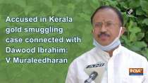Accused in Kerala gold smuggling case connected with Dawood Ibrahim: V Muraleedharan