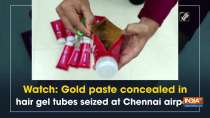 Watch: Gold paste concealed in hair gel tubes seized at Chennai airport