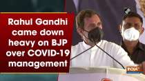 Rahul Gandhi came down heavy on BJP over COVID-19 management