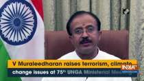 V Muraleedharan raises terrorism, climate change issues at 75th UNGA Ministerial Meeting