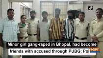 Minor girl gang-raped in Bhopal, had become friends with accused through PUBG: Police