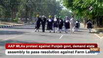 AAP MLAs protest against Punjab govt, demand state assembly to pass resolution against Farm Laws
