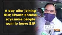 A day after joining NCP, Eknath Khadse says more people want to leave BJP