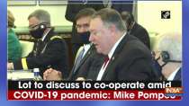 Lot to discuss to co-operate amid COVID-19 pandemic: Mike Pompeo