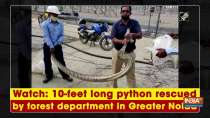 Watch: 10-feet long python rescued by forest department in Greater Noida