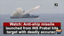 Watch: Anti-ship missile launched from INS Prabal hits target with deadly accuracy