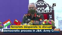 Terrorists desperate to disrupt democratic process in J&K: Army Chief