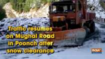 Traffic resumes on Mughal Road in Poonch after snow clearance