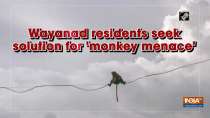 Wayanad residents seek solution for 