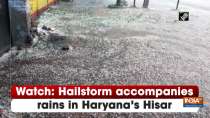 Watch: Hailstorm accompanies rains in Haryana