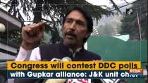 Congress will contest DDC polls with Gupkar alliance: J&K unit chief