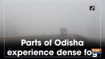 Parts of Odisha experience dense fog