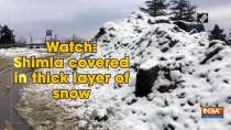 Watch: Shimla covered in thick layer of snow