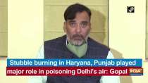 Stubble burning in Haryana, Punjab played major role in poisoning Delhi