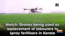 Watch: Drones being used as replacement of labourers to spray fertilisers in Kerala