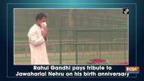 Rahul Gandhi pays tribute to Jawaharlal Nehru on his birth anniversary