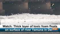 Watch: Thick layer of toxic foam floats on surface of river Yamuna in Delhi