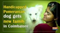Handicapped Pomeranian dog gets new family in Coimbatore