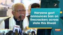 Haryana govt announces ban on firecrackers across state this Diwali