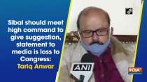 Sibal should meet high command to give suggestion, statement to media is loss to Congress: Tariq Anwar