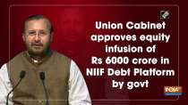 Union Cabinet approves equity infusion of Rs 6000 crore in NIIF Debt Platform by govt