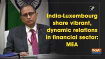 India-Luxembourg meeting focused on constructive engagement on bilateral relation: MEA