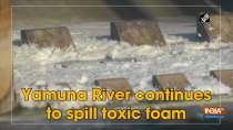 Yamuna River continues to spills toxic foam