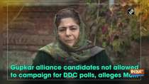 Gupkar alliance candidates not allowed to campaign for DDC polls, alleges Mufti