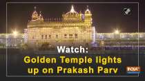 Watch: Golden Temple lights up on Prakash Parv
