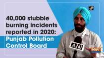 40,000 stubble burning incidents reported in 2020: Punjab Pollution Control Board