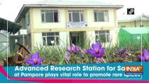 Advanced Research Station for Saffron at Pampore plays vital role to promote rare spices