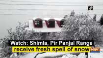 Watch: Shimla, Pir Panjal Range receive fresh spell of snow