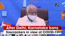 After Delhi, Karnataka bans firecrackers in view of COVID-19