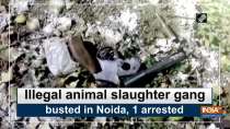 Illegal animal slaughter gang busted in Noida, 1 arrested