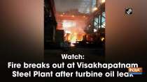 Watch: Fire breaks out at Visakhapatnam Steel Plant after turbine oil leak