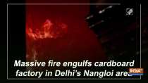 Massive fire engulfs cardboard factory in Delhi