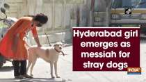 Hyderabad girl emerges as messiah for stray dogs