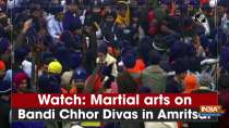 Watch: Martial arts on Bandi Chhor Divas in Amritsar