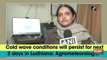 Cold wave conditions will persist for next 2 days in Ludhiana: Agrometeorologist