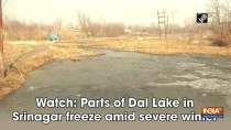 Watch: Parts of Dal Lake in Srinagar freeze amid severe winter