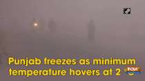 Punjab freezes as minimum temperature hovers at 2 degree C.