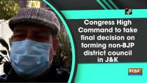 Congress High Command to take final decision on forming non-BJP district council in JandK