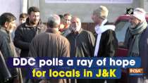 DDC polls a ray of hope for locals in Jammu and Kashmir
