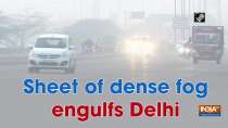Sheet of dense fog engulfs Delhi