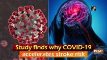 Study finds why COVID-19 accelerates stroke risk