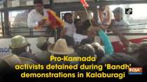 Pro-Kannada activists detained during 