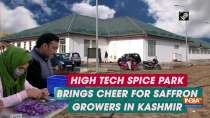 High tech Spice Park brings cheer for saffron growers in Kashmir