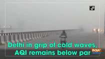 Delhi in grip of cold waves, AQI remains below par