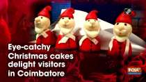 Eye-catchy Christmas cakes delight visitors in Coimbatore