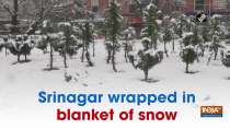 Srinagar wrapped in blanket of snow